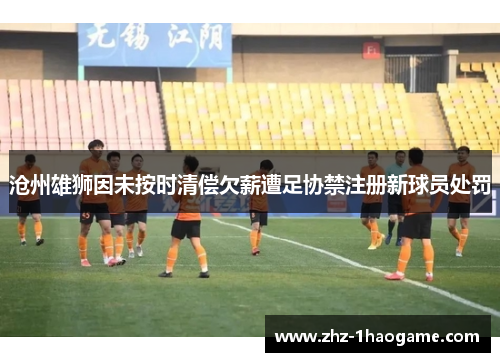 沧州雄狮因未按时清偿欠薪遭足协禁注册新球员处罚